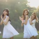 네이쳐 뮤직(Nature music) 이미지