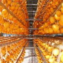 함안체육관 이미지