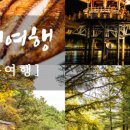 선유스테이 이미지