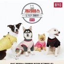 도그몰 | [꼬집스 16기]10월 활동 후기 | 의무봉사, 도그어스플래닛, 10월 행사