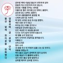 염불삼매 글 41(부처님의 수행 일기)/ 불상 앞에 장미꽃을 헌화했다/3년간 공부는 약속받았다/ 불상 몸에서 황금빛, 미간에서 이미지