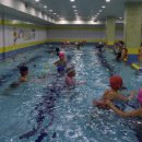 닥터마린키즈수영장 이미지