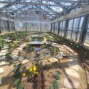 금봉자연휴양림 | 전자휴 금봉 자연휴양림