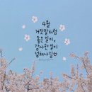 굴다리과일.야채