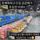 유쾌육회고깃집 네이버블로그