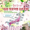 편안탑항공