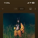 생각을씁니다