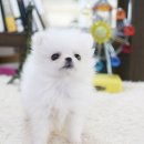 구월2동-16 이미지