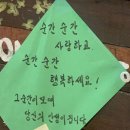 [3月 - 下 ] 도비는 free가 되...