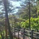 경상남도 창녕군 화왕산자연휴양림, 후기, 영업시간, 가격