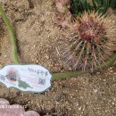 농업기술센터(농업전시관) 이미지