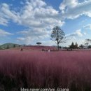 신소양노인회관 이미지