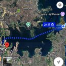 반짝일개 | [DAY 5] '여유'를 좇는 여행의 최후😗