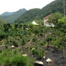 공개농장 이미지