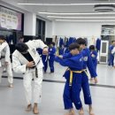 현 유도관 이미지