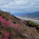 행복한 소농장 이미지