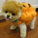 부BOO