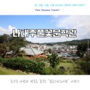 풍금소리 | 공주 나태주풀꽃문학관 시인의 영상 한편에 힐링이 됩니다