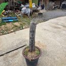 부림PC카페 이미지