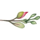 센트럴웰가공인중개사사무소 이미지