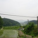 [일정후기]6월 8일 대전외곽버스타고 떠나는 마을여행 4차 '금탄동에서 추억그리기' 이미지