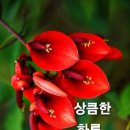 회춘 십훈(回春十訓) 이미지