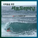 알서프 이미지