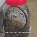박카스정비소 이미지