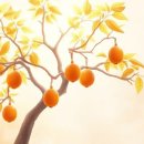 (주)데이타뱅크 | 케이뱅크 돈나무 키우기 참여방법 리워드 구조 및 유의사항