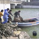 내동~사내호 이미지