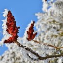 터미널종합카세차장 | 목포 시티투어버스 해상케이블카 연계 후기｜바다와 도시를 하루에 즐기는 여행