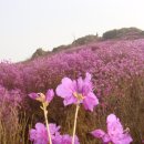 행복동산 이미지