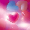 양양고등학교 이미지