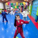 청호태권도장 이미지