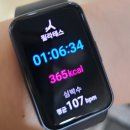 청산동물병원 이미지