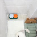 대구애견호텔 애견유치원 모여라솜뭉치 본점 이미지