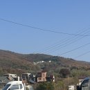 지에스25 기흥풍경채점 | [용인 카페 추천]볼거리 많은 가구쇼룸 카페 ‘아스테리카 바이 더 체어’ 후기