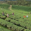 하늘농장8 이미지