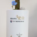 보라행정사사무소 이미지