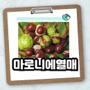 마로니에쉼터 이미지