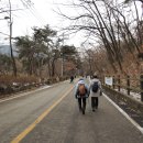 관악산 무장애숲길 이미지