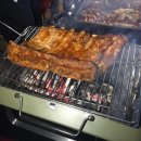 녹색오토캠핑장 이미지