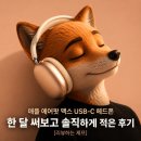 애플정보통신 | 애플 에어팟 맥스 USB-C 헤드폰 한 달 써보고 솔직하게 적은 후기 [리뷰하는 제프]