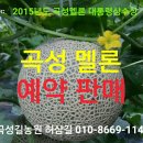 곡성멜론 이미지
