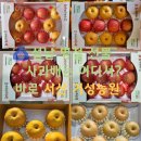 거성농원 이미지