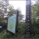 동작충효길 2코스 현충원길 이미지