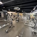 피트니스 다짐 이미지