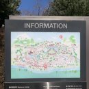 대바위농장 | [강원도/고성]아이와 가기 좋은 곳 켄싱턴리조트 설악 밸리 부대시설 볼거리, 놀 거리, 전기차 충전