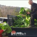 2012-12-6 칠곡인터넷뉴스-칠곡서, 사랑의 김장 담기 봉사활동 이미지