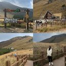 윤농장 | 울산 영남알프스 간월재 억새군락지 11월 초 상황 | 최단코스 사슴농장 코스 &amp; 주차장 정보